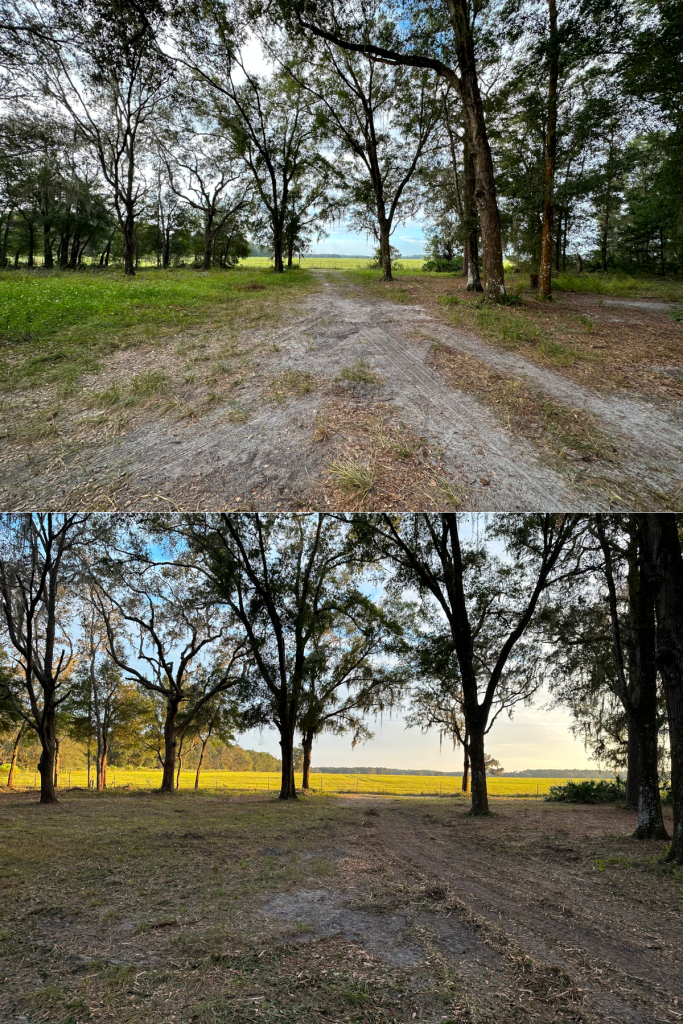 before and after 4 before and after 4